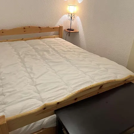 Au Coeur Du Chinaillon Avec Parking Et Balcon, 4 Couchages - Fr-1-241-176 * לה גראן-בורנו