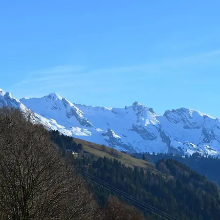 Au Coeur Du Chinaillon Avec Parking Et Balcon, 4 Couchages - Fr-1-241-176 דירה *