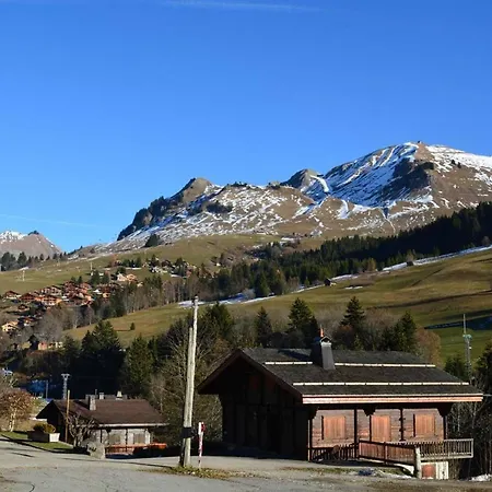 Au Coeur Du Chinaillon Avec Parking Et Balcon, 4 Couchages - Fr-1-241-176 Le Grand-Bornand